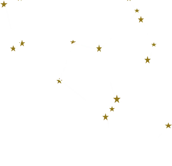Group 7.png